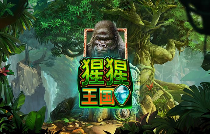 BN773:COM-WWW:BN773:COM截图3